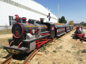 Simulated Steam Track Train Ride