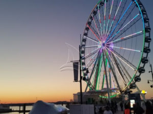 Enhancing Parkscape Delight: The Advent of a Grand Ferris Wheel