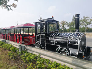 Tourist Train for Our American Client