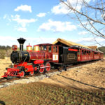Attractive Scenic Track Train For Sale