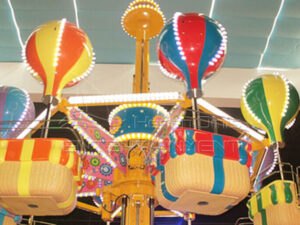 Amusement equipment safety management system